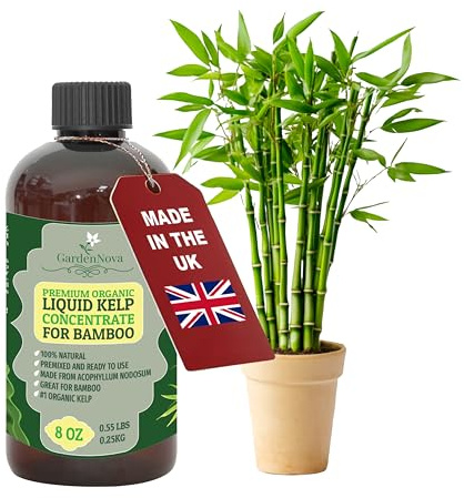 GARDENNOVA Premium Organic Seaweed & Kelp Superfood for Bamboo Plants - 8 oz - Liquid Kelp Fertilizer Concentrate (Makes 25 Litres)