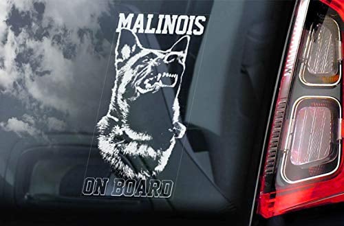Belgische Malinois - Auto Sticker - Hund Zeichen Fenster, Stoßstangen Aufkleber Geschenk - V003