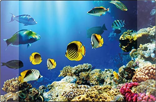 Schreibunterlage Kangaro PP 38 x 58 cm Aquarium, K-0014D115