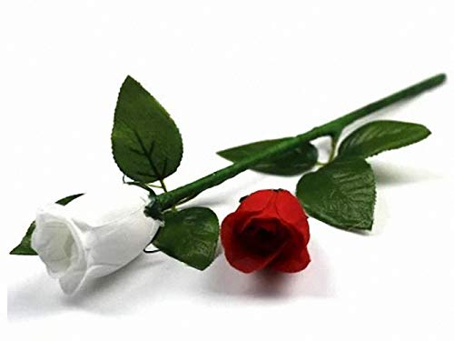 Stage Magic Farbwechselnde Rose – Regenerate Rose – Zaubertricks