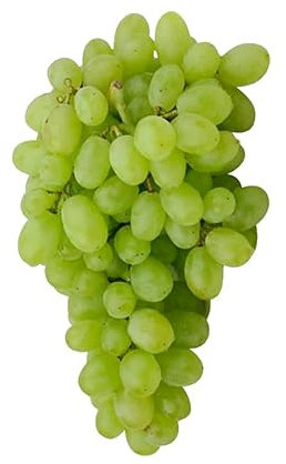 Pianta di UVA VITE innestata REGAL SEEDLESS BIANCA apirena senza semi in vaso 16 cm FOTO REALE AMDGarden
