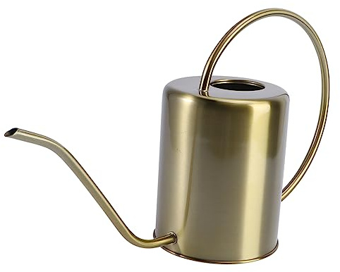 Arrosoir Bec Acier Jardin Long Inoxydable de 2000ml | Poignée Ergonomique, Design Portable, Résistant à Rouille, Usage Maison et Jardin