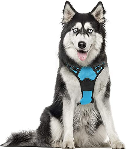 rabbitgoo Dog Harness Large Dog, No Pull Vest with Front Clip & Handle | No Choke, Adjustable, Breathable Padded, 2 Lead Rings, Reflective, Easy Control for Walking Training, XL, Baby Blue