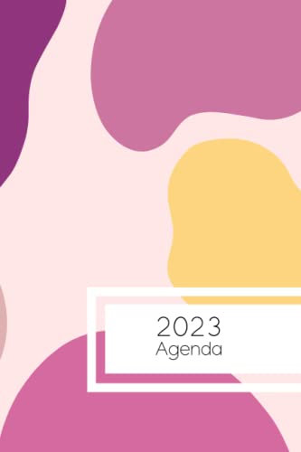 Agenda 2023 rosa e viola: Agenda anno 2023: 2 giorno per pagina, calendario completo all'inizio del mese, fogli alla fine per note.
