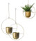 LIKEUDO 2 macetas colgantes de metal dorado para plantas suculentas, macetas decorativas para decoración de paredes (redondas)