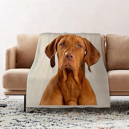 EOMKSE Kuscheldecke Flauschig Decke - weiche warme Fleecedecke 150x200cm als Decke Sofa,Porträt eines entzückenden Magyar Vizsla, der neugierig in die Kamera schaut,Wohndecke oder Couchdecke überwurf