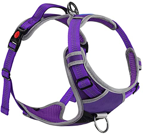 ThinkPet Pettorina per Cane Grande, Medio e Piccola Taglia - No-Pull, Regolabile con 2 Ganci in Metallo, Imbracatura Riflettente Morbida in Nylon, Anti-Tiro e Antifuga