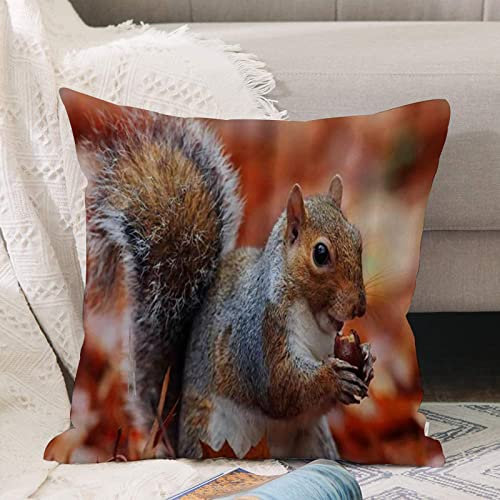 Kissenbezug 45x45 cm,Eichhörnchen Herbst trockene Blätter Nuss Tier Tierwelt,Outdoor Kissen Kissenbezüge Kissenhülle Sofa Kissen dekokissen Zierkissen für Wohnzimmer Garten deko draußen