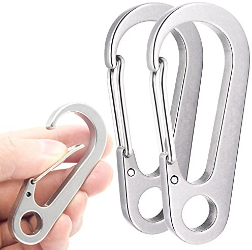 DOKEEP 2PCS 2.77 Inch Stainless Steel Carabiner Clip Spring-Snap Hook,EDC Heavy Duty Mini Custom Quick Release Hook for Outdoor Key Chain Swing Set Camping Fishing Hiking Traveling Hammock (2.77 Inch)