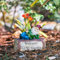 Alpine Corporation WAC200 Nain de Jardin et Signe de Bienvenue pour extérieur, Jardin, terrasse, terrasse, véranda, décoration 22,9 cm de Haut, Multicolore