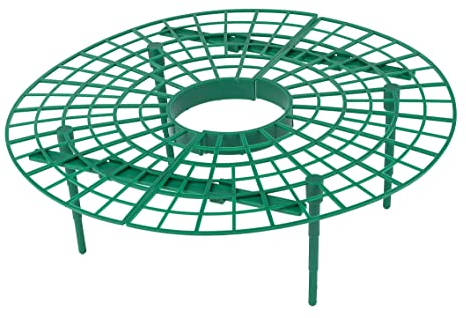 Maximex Erdbeer-Reifer 5er Set - 5er Set, Polypropylen, 40 x 10 x 40 cm, Grün