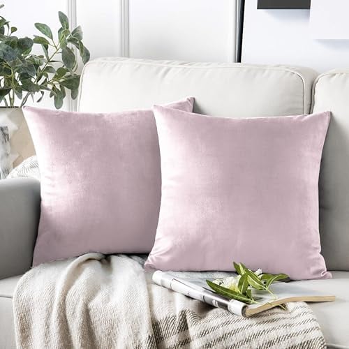 AMEHA Set di 2 federe decorative per cuscino in velluto rosa, 45 x 45 cm, per divano, camera da letto, 45 x 45 cm
