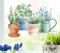 wolga-kreativ Fenstersticker Fensterbilder Glasdekorfolie Motiv Fensterfolie Fenstertattoo Küchenkräuter Frühlingblumen Keramiktopf Deko Küchenfenster wiederverwendbar selbstklebend Sichtschutz