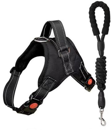 FFWTPY Pettorina per Cane Traspirante, Regolabile Comodo guinzaglio Incluso per Cani di Taglia Piccola Media e Grande Ideale per addestrare Le Passeggiate (Nero L)