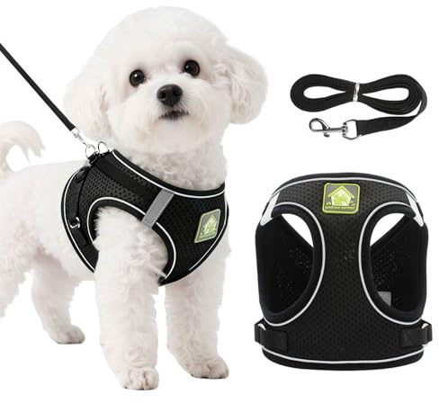 DOINEUFL Welpengeschirr, Hundegeschirr und Leine, weiches Netzgewebe, reflektierend, atmungsaktiv, leicht, Westen-Stil, Hundegeschirr mit Sicherheitsschnalle für kleine und mittelgroße Hunde, Katzen