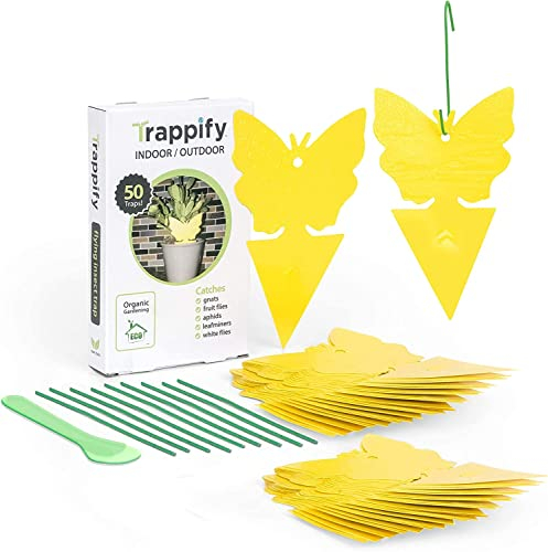 Trappify Einweg Fruchtfliegenfalle und Mückenfalle steckbar & Aufhängen für Planzen (50 Stück) - Fliegenfalle Insektenfallen für Innenbereich & Aussenbereich - Insektenfänger für Blattläuse