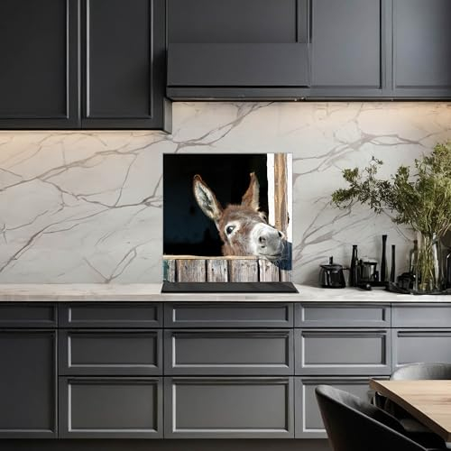 banjado Küchenrückwand Glas ohne Bohren 40x40cm – Glasrückwand Küche mit Motiv Nicki/Spritzschutz Küchenrückwand Glas/selbstklebende Küchenrückwand Platte - magnetisch & beschreibbar