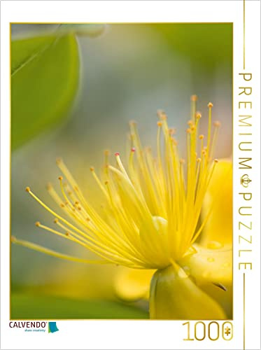 CALVENDO Puzzle Gelber Blütentraum | 1000 Teile Lege-Größe 48 x 64 cm Foto-Puzzle für glückliche Stunden