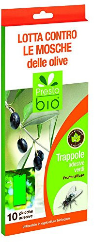 10 TRAPPOLE ADESIVE VERDI PER LA LOTTA CONTRO LA MOSCA DELLE OLIVE