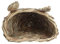 EVTSCAN Paja Trenza Forma de Cabeza de Conejo Chinchilla Hamster Erizo Hierba Cálida Casa Nido