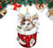 Fukamou Weihnachtsbaumschmuck Katze, Weihnachtsdeko Ornament, Anhänger Weihnachtsbaum Deko. Acryl, Weihnachten