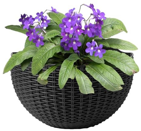 Befeixue Maceta De Pared De Imitación Ratán, Cestas Pared Jardín Semicírculo, Plantadores Colgantes Jardín con Orificio Drenaje Y Ganchos, Maceta Decorativa Al Aire Libre para Balcón, Valla