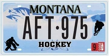 OPO 10 - USA Auto KENNZEICHEN - 30x15 cm Metall Replik: Montana (C30)