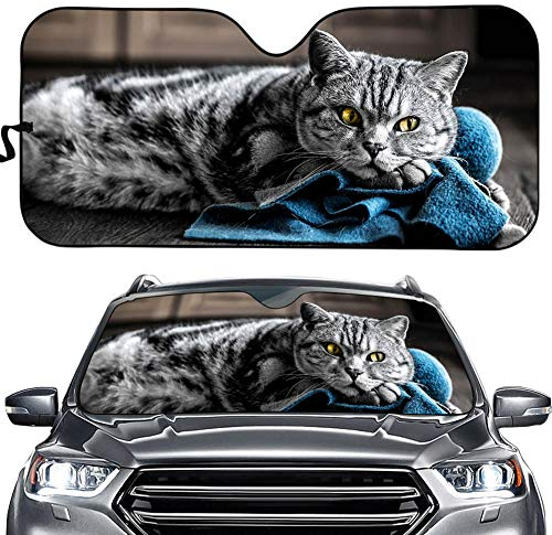Hixingo Auto Frontscheibe, 3D Tier Katze Motiv Sonnenschutz für Windschutzscheibe, Frontscheibenabdeckung, Faltbares Design Auto Sonnenschutz, UV-Schutz, für meisten Autos (Tabby-Katze)