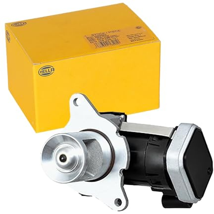 HELLA 6NU 014 864-901 AGR-Ventil - 12V - elektrisch - 4-polig | Kompatibel mit: MERCEDES-BENZ C-CLASS, C-CLASS T-Model, E-CLASS, E-CLASS Pritsche/Fahrgestell, E-CLASS T-Model