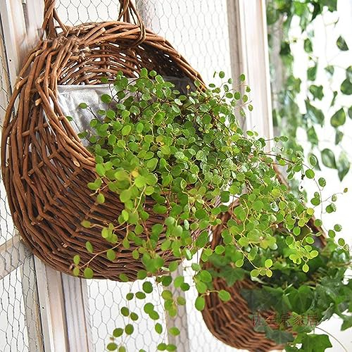 Mgoodoo Hanging Planter Basket with Wicker,Round Hanging Flower Plant Pot Plant Basket for Indoor Outdoor Garden Porch Decoration, 22 * 26CM,1pc