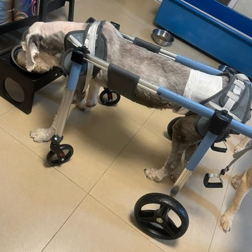 Innovz Hunderollstuhl Einstellbare Mobilitätshilfen für Haustiere, 4 Räder mit Voller Unterstützung Hunde-Rollstuhl, Klein Mittel Groß Rollstuhl für Behinderte Haustiere mit Hinterbeinen(XXL)