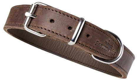 FREUDENTIER Hundehalsband Leder für kleine bis mittelgroße Hunde - Alsterufer Kollektion - Lederhalsband aus Fettleder - Handmade in EU (Chocolate, 20,5-27cm Halsumfang)