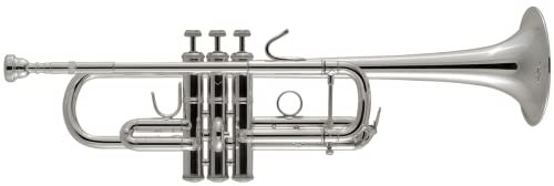 Bach C180SL229W30 Stradivarius Professional C Trompete mit 229 Klingel
