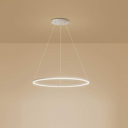 AIRUI 1-Licht Single Circle Pendelleuchte Nordic Modern Ring Lüster Abgehängt Verstellbar LED Hängelampe Für Wohnzimmer Schlafzimmer Esszimmer,White+Cold White-40CM 25W