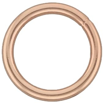 O Ring 15, 20, 25, 30 und 35 mm Durchmesser aus Druckguss im 10er Set | Hunde-Halsband, Hunde-Leine, Pferde, Segel-Sport | rostfrei, geschweißt, Rosegold (25 x 25 mm Durchmesser)