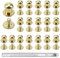 YPLonon Leder Nieten Schraubnieten 80 Stück Runde Kopf Nagel Nieten 6MM Kopfnieten mit Schraubverschluss Gold Knopfschraube Nieten Bolzen mit Schlag Rivet Button Hohlnieten für Gürtel Ledertaschen DIY