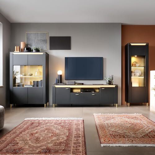 Lomadox Wohnwand 3-teilig in schwarz matt mit goldenen Akzenten