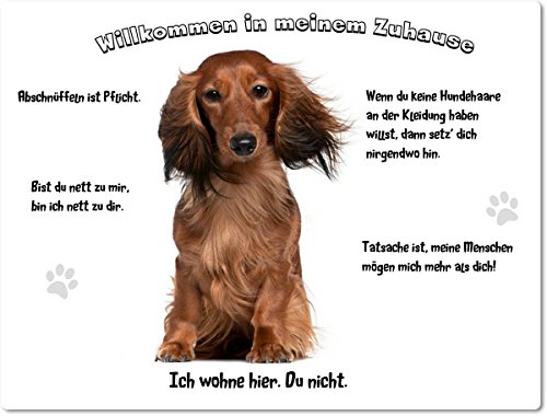 Merchandise for Fans Blechschild/Warnschild/Türschild - Aluminium - 15x20cm - - Willkommen in Meinem Zuhause - Motiv: Dackel Teckel Dachshund Langhaardackel - 04