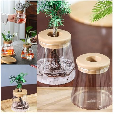 Sbyhbhyds Plants Propagation Stations Vases Planters,Desktop Plant Terrarium Hydroponic Vase with Lid,Water Plant Jars,Gardening Pot Gifts for Women Mom Plant Lovers,Home Office Tabletop Decoration