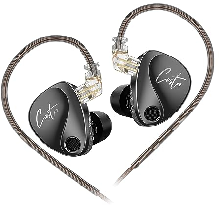 KZ Castor in-Ear Monitor Dual-Dynamic Drivers Headphones with 4 Tuning Switches HiFi Noise Cancelling Earphones, Clarity in All Frequency Stereo Sound Earbuds for Audio Engineers, Musicians(Black)