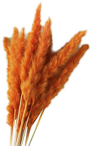 YIWOYI 15 Stück natürlich getrocknetes Schilfgras, flauschige Pampasgras-Blumen, künstliche Blumen in Vase, Vase, Türkranz, Dekoration für Zuhause und Küche (orange)