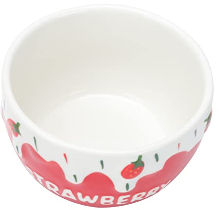 Zerodeko 1 Pc Bol De Fraises Bols De Soupe à L'oignon Bols à Soupe en Porcelaine Bol Udon Soba Bol De Ramequins Bol De Nouilles Blanc Bol De Petit Déjeuner Collation Céramique Four