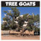 MICASA PRESS - Tree Goats 2025 Wall Calendar 12 Month | 12 x 24 Open | Thick & Sturdy Paper | Giftable | Calendar 2025