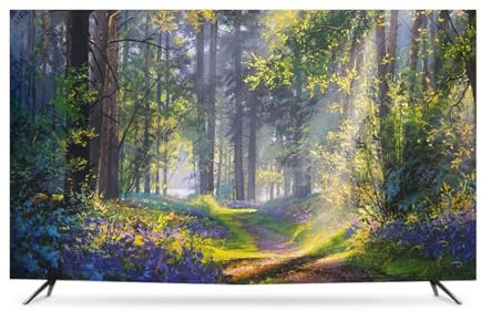 Tv-Abdeckung, Staubdicht, Tv-displayschutz Für LCD, Led, Malerei, Muster, Innenbereich, Schlafzimmer, Wohnzimmer, Dekoration, Staubschutz Für Fernseher(Size:65IN,Color:C)