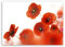 ge Bildet Bild auf Leinwand | Mohn in 70x50 cm als Wandbild | Wand-deko Dekoration Wohnung modern Bilder | 1296