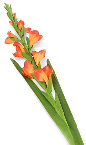 Closer 2 Nature künstliche Blumen Floral Elegance, Gladiole, 118 cm, orange