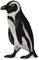 CollectA 88710 - Brillenpinguin