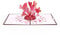 Lovepop® Love Explosion 3D Pop Up Karte Liebeskarte für Geburtstag, Liebe, Hochzeitstag, Muttertag, Valentinstag, Jahrestag | Versteckfach für Geld & Gutscheine | inkl. Umschlag | Ausziehbare Notiz