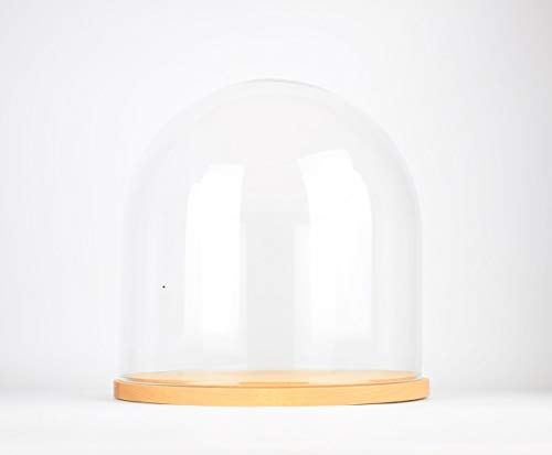EMH Cloche circulaire en verre soufflé fait à la main avec base en bois 31,5 cm