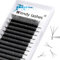 W Lash Extensions 3D Premade Fans Volume Lashes Mix8-14 0.07mm D Curl W-Shaped Lashes Refine the Roots of the Lashes and Extend 3 Tips Eyelash Extensions(W-0.07-D-814)